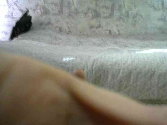 Affectionate-Fairy webcam