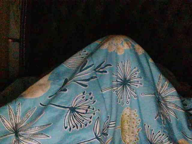 Slimpear19 webcam