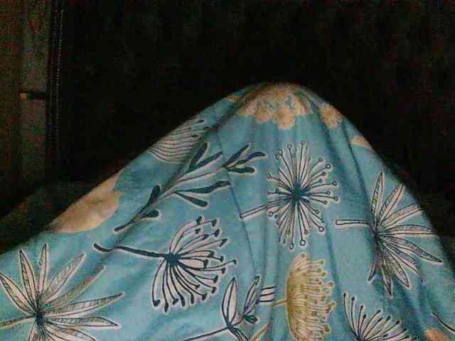 Slimpear19 webcam