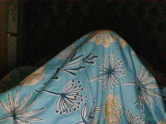Slimpear19 webcam