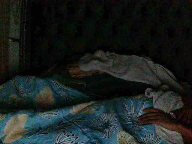 Slimpear19 webcam