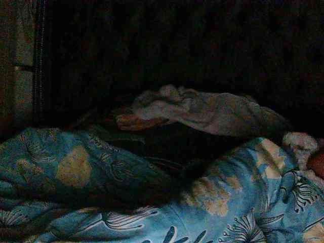Slimpear19 webcam