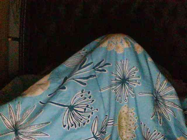 Slimpear19 webcam
