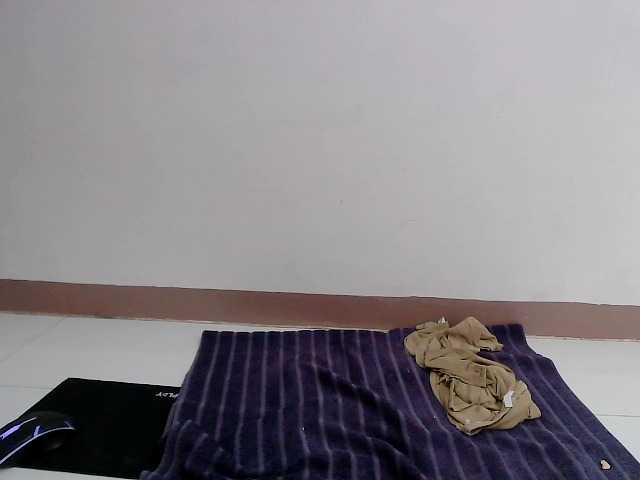 titsnrice webcam bongacams model stream image