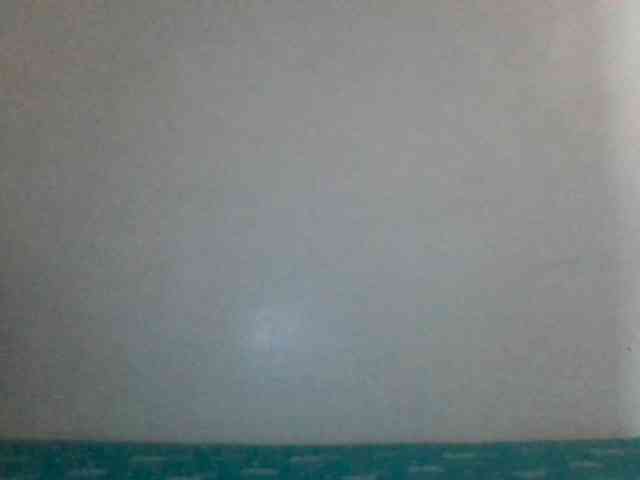 titsnrice webcam