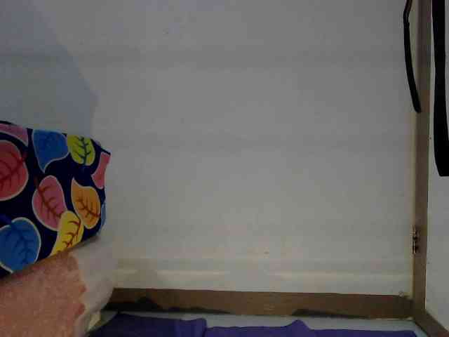titsnrice webcam