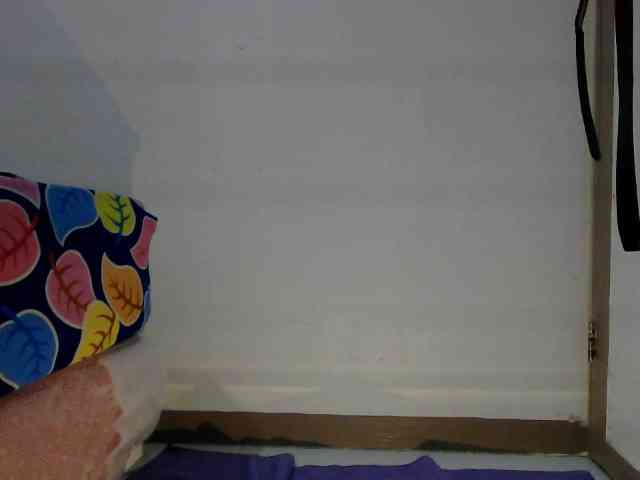 titsnrice webcam