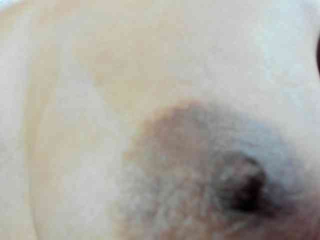 MadelineDollx webcam