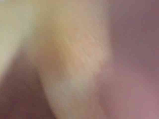 MadelineDollx MadelineDollx