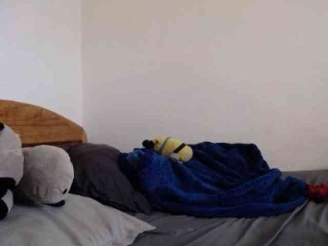 tetedange webcam