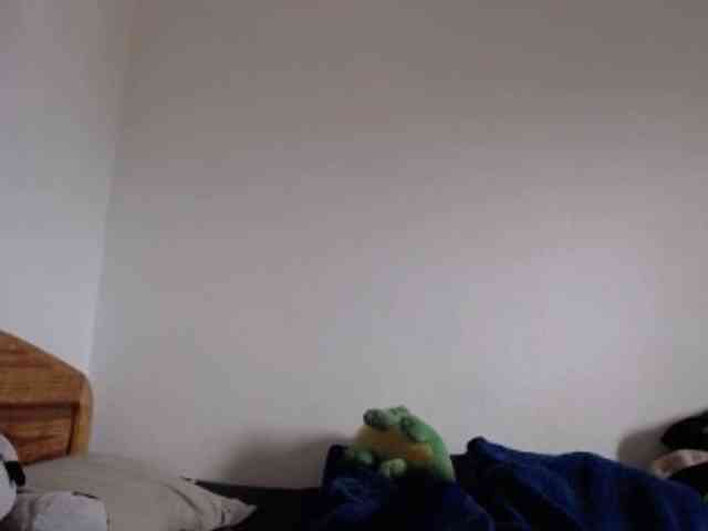 tetedange webcam