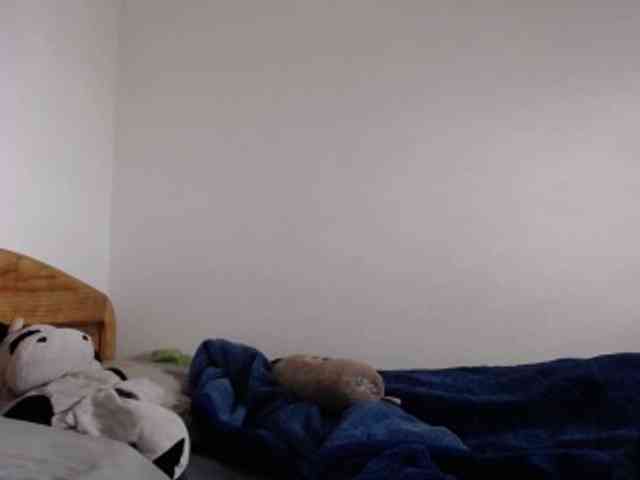 tetedange webcam