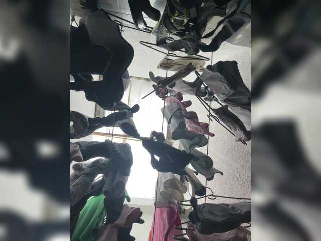 ashley-vega's BongaCams show and profile