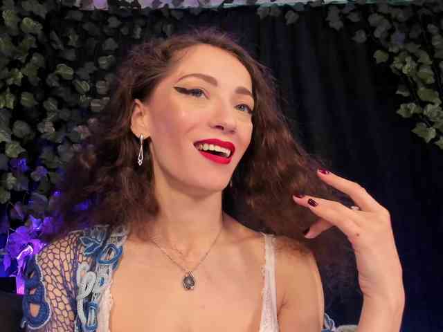 Silerta webcam