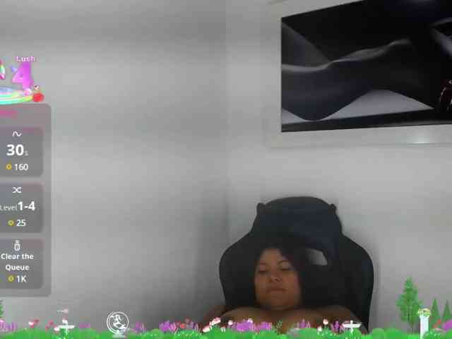 _04WOLLF-MIA webcam