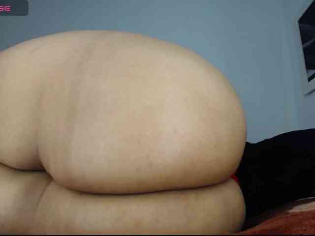 _04WOLLF-MIA webcam