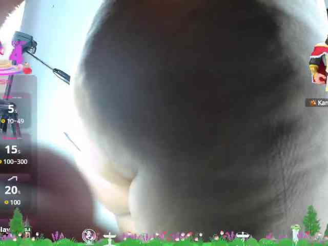 _04WOLLF-MIA webcam