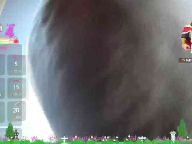 _04WOLLF-MIA webcam