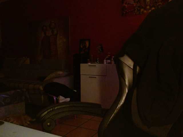 Petitoiseaucoquine's BongaCams show and profile