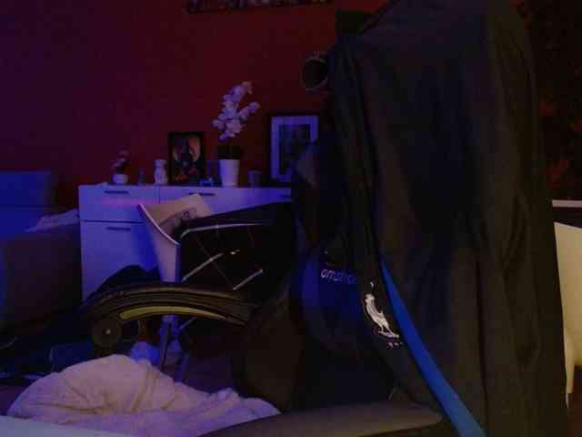 Petitoiseaucoquine webcam