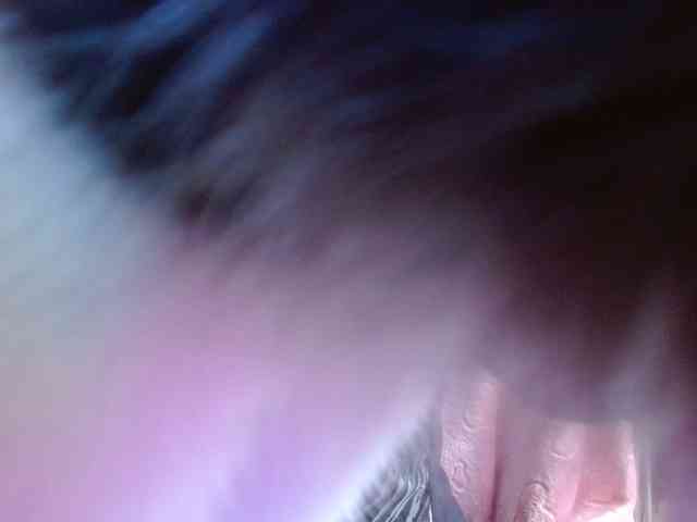 Petitoiseaucoquine webcam