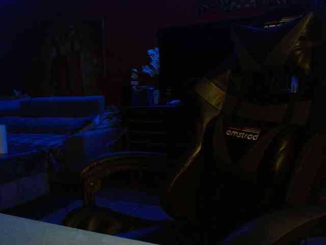 Petitoiseaucoquine webcam