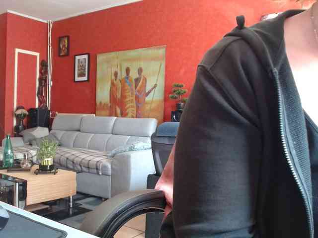 Petitoiseaucoquine webcam