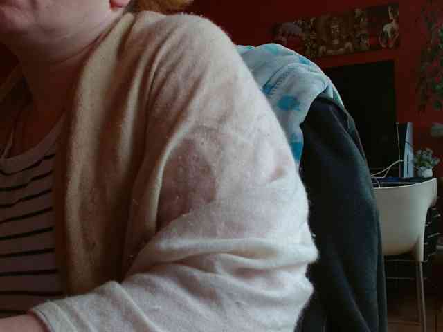 Petitoiseaucoquine webcam