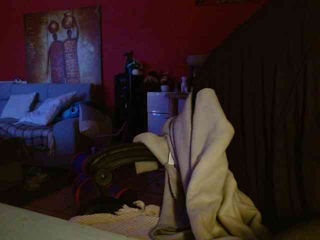 Petitoiseaucoquine webcam