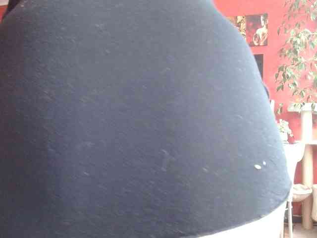 Petitoiseaucoquine webcam