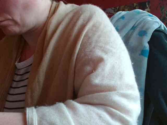 Petitoiseaucoquine webcam