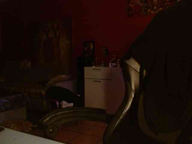 Petitoiseaucoquine webcam