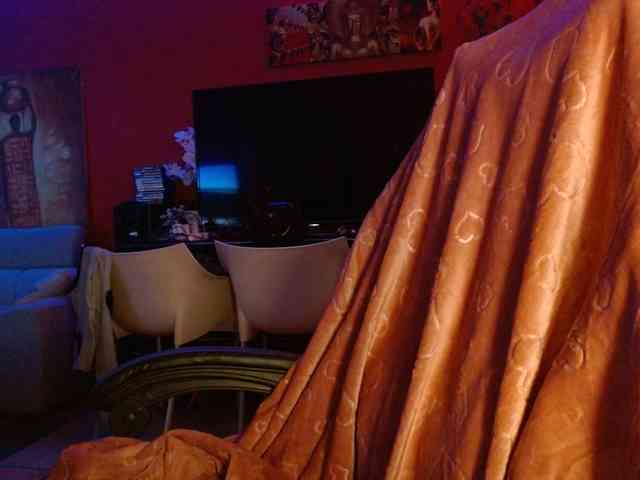 Petitoiseaucoquine webcam