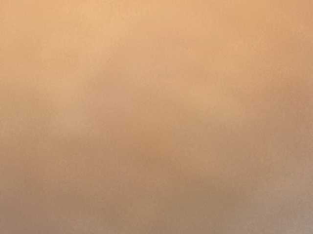 Preview of dilanloyal