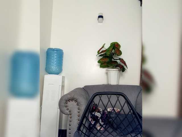 dilanloyal's BongaCams show and profile