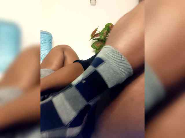 dilanloyal Live Webcam on BongaCams