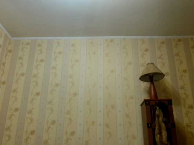 Valenttijm3851 from BongaCams is Freechat