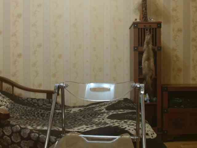 Valenttijm3851 webcam