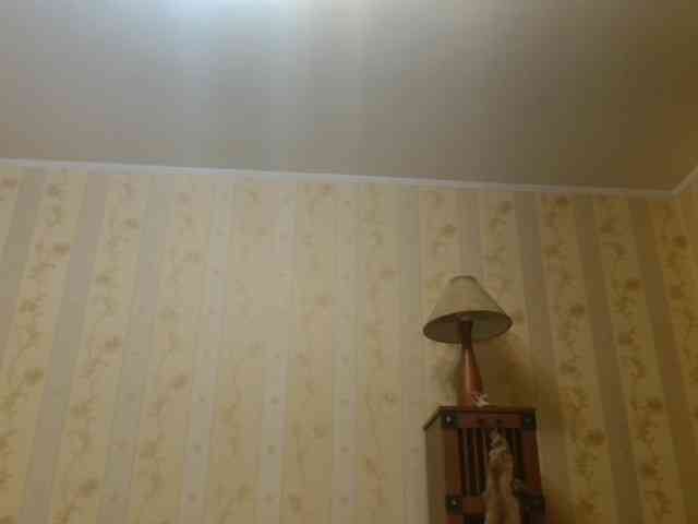 Valenttijm3851 webcam