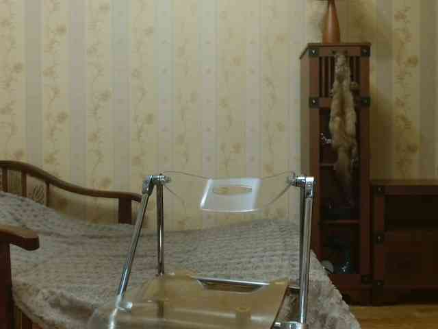 Valenttijm3851 Valenttijm3851