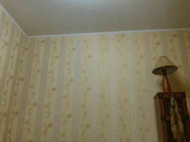 Valenttijm3851 webcam