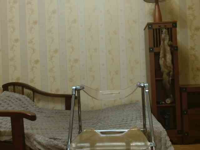 Valenttijm3851 webcam