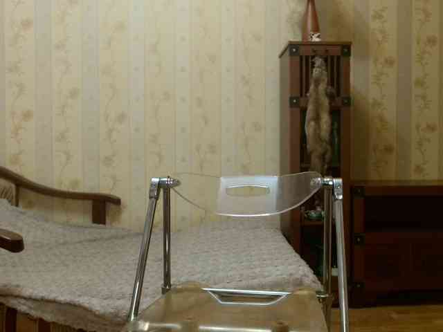 Valenttijm3851 webcam