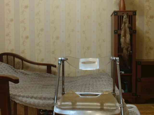 Valenttijm3851 webcam