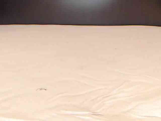 LexaBrunette webcam