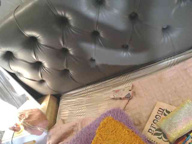 amapolahs Live Webcam on BongaCams