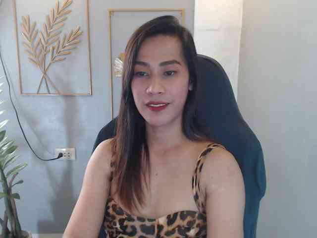 DaveCarel Live Webcam on BongaCams