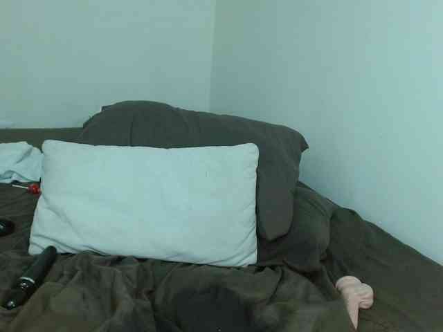 Evamills webcam