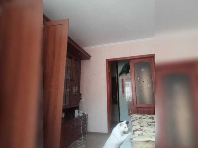 Raisin's BongaCams show and profile