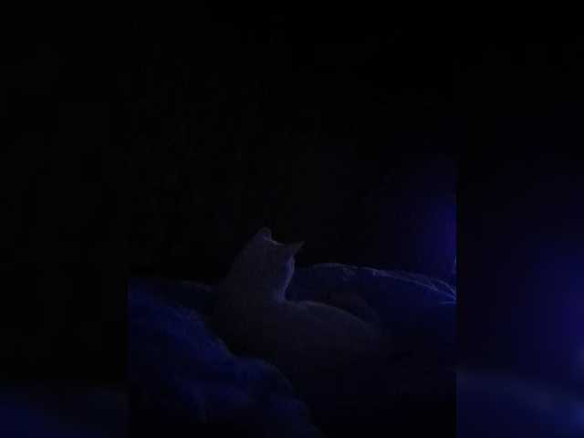 Raisin's BongaCams show and profile